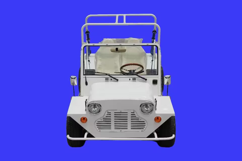 electric Patrol car